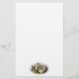 SCHAPEN BRIEFPAPIER