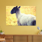 Schapen Canvas Afdruk (Insitu (Woonkamer))