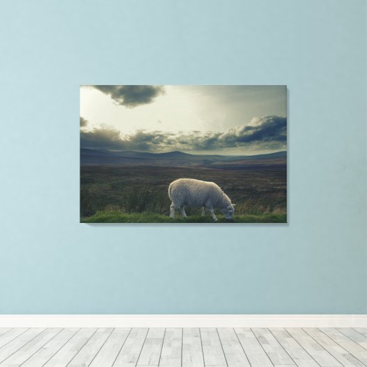 Schapen Canvas Afdruk (Insitu (Houten vloer))