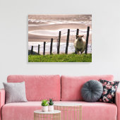 SCHAPEN CANVAS AFDRUK (Insitu (Woonkamer))