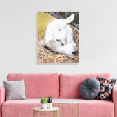 SCHAPEN CANVAS AFDRUK (Insitu (Woonkamer))