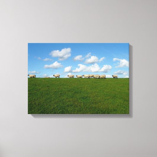 Schapen canvas print (Voorkant)