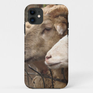 schapen iPhone 11 hoesje