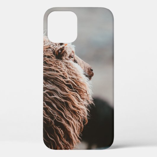 SCHAPEN Case-Mate iPhone CASE (Achterkant)