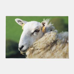 SCHAPEN DEURMAT