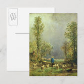 Schapen die naar een Storm kijken Briefkaart (Voorkant / Achterkant)