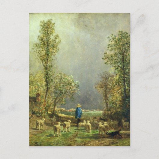 Schapen die naar een Storm kijken Briefkaart (Voorkant)