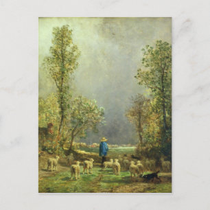 Schapen die naar een Storm kijken Briefkaart