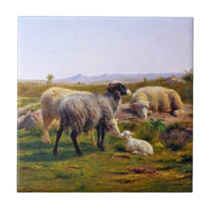 Schapen en een Lam in Natuur (door Rosa Bonheur) Tegeltje