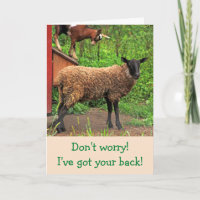 Schapen en geiten worden goed