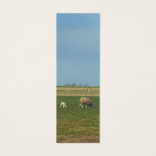 Schapen en lammeren Bladwijzer Mini Visitekaartjes
