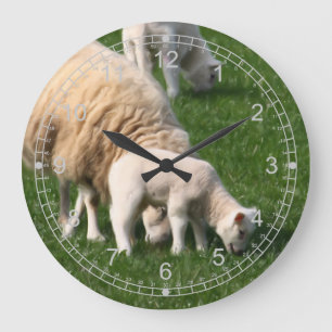 Schapen en lammeren grote klok