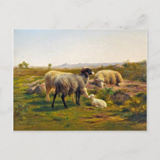 Schapen en lammeren van Rosa Bonheur Briefkaart