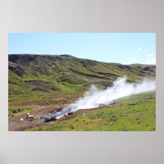 Schapen en warme veer poster (Voorkant)