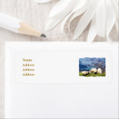 SCHAPEN ETIKET (Insitu)