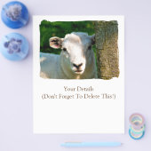 SCHAPEN FLYER (Enkel)