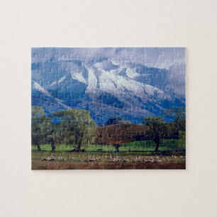 Schapen grazen onder de besneeuwde Harris Legpuzzel