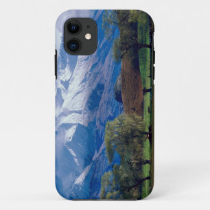 Schapen grazen onder de met sneeuw bedekte Harris iPhone 11 Hoesje