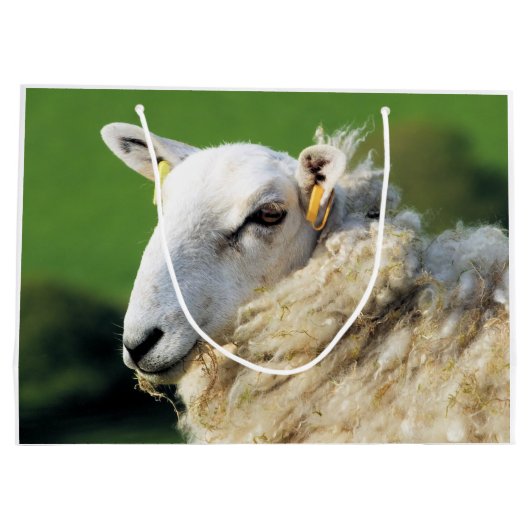 SCHAPEN GROOT CADEAUZAKJE (Achterkant)