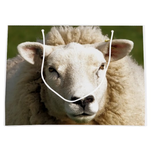 SCHAPEN GROOT CADEAUZAKJE (Voorkant)