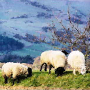 SCHAPEN HEUPFLES