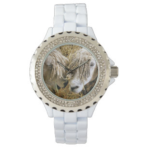SCHAPEN HORLOGE
