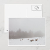Schapen in de lijst briefkaart (Voorkant / Achterkant)