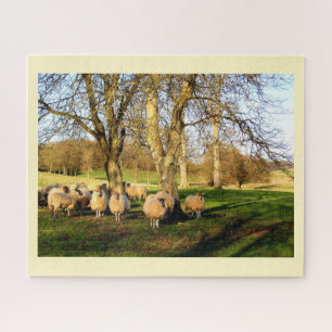 Schapen in de winter legpuzzel
