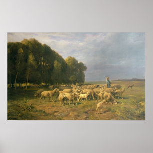 Schapen in een landschap poster