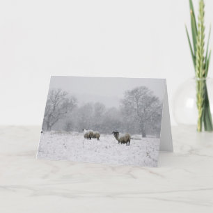 Schapen in een sneeuwveld feestdagen kaart