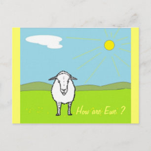 Schapen in een veld briefkaart