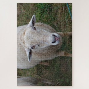 Schapen in een veld legpuzzel