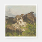 Schapen in een weide (door August Friedrich Schenc Servet (Voorkant)
