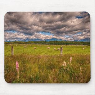 Schapen in Fiordland, de Anau, Nieuw-Zeeland Muismat