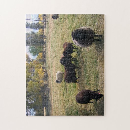 Schapen in het gras legpuzzel (Verticaal)