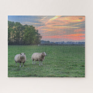 Schapen in het veld met zonsondergang legpuzzel