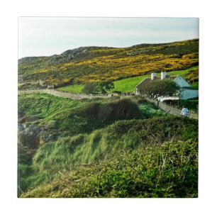 Schapen in Ierland Tegeltje