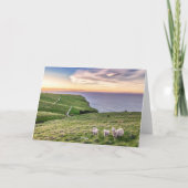 Schapen in Nieuw-Zeeland | Christkerk Landschap | Bedankkaart (Achterkant)