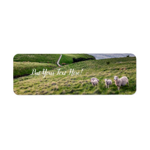 Schapen in Nieuw-Zeeland   Christkerk Landschap    Etiket