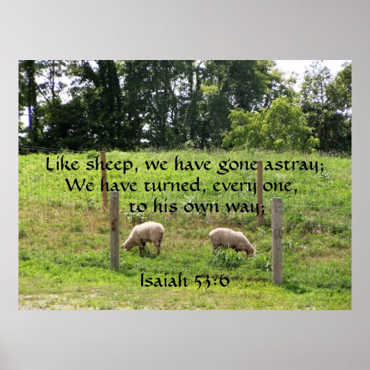 Schapen in pasta met de Druk van de Manuscripten Poster (Voorkant)