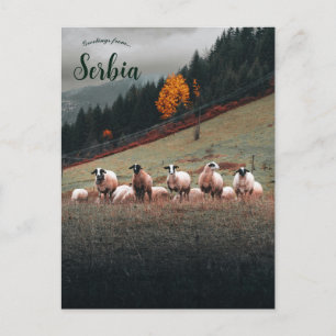 Schapen in Siberië op een berghelling op een bewol Briefkaart