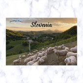 Schapen in Slovenië Briefkaart