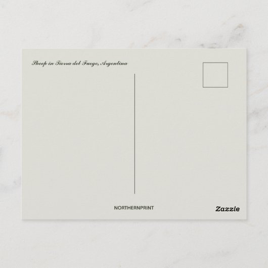 Schapen in Tierra del Fuego Argentinië Briefkaart (Achterkant)