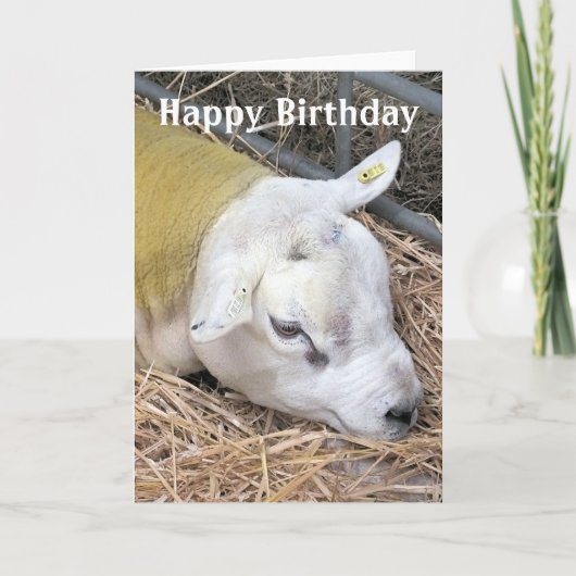 SCHAPEN KAART (Voorkant)