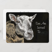 SCHAPEN KAART (Voorkant / Achterkant)