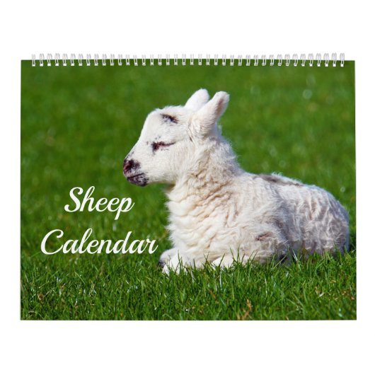 Schapen Kalender (Hoes)