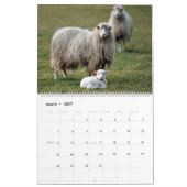 Schapen Kalender (Mar 2027)