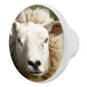 SCHAPEN KERAMISCHE KNOP (Rechts)