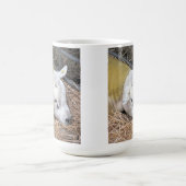 SCHAPEN KOFFIEMOK (Center)