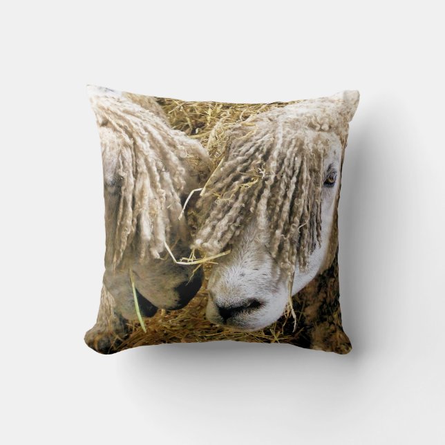 SCHAPEN KUSSEN (Voorkant)